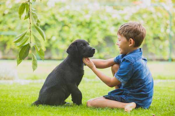 Love Your Pet Day. Boy playing with black dog on grass