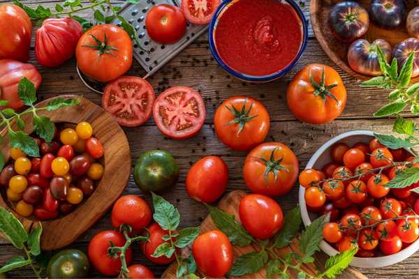 Different varieties of tomatoes for British Tomato Fortnight