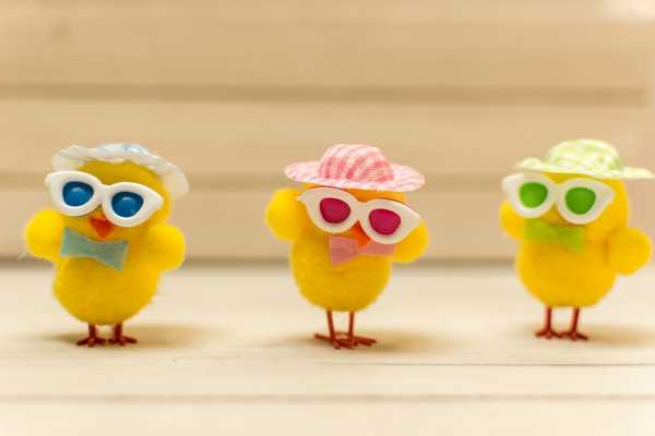 Three toy chicks with sunglasses on for Easter Tuesday