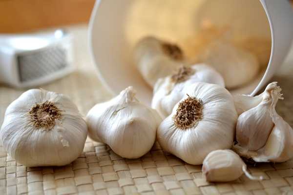 Garlic bulbs for National Garlic Day