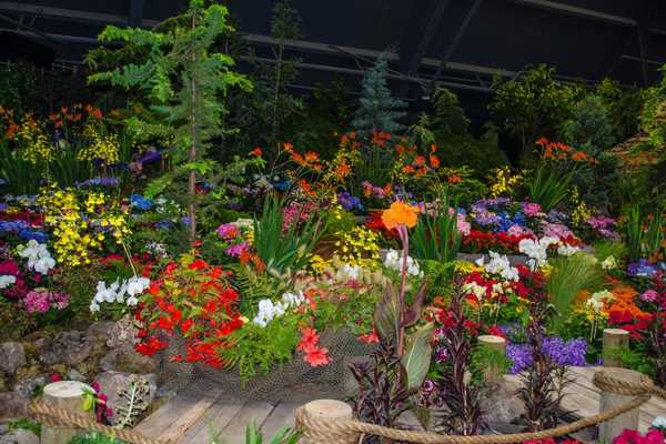 Designer garden for RHS Chelsea Flower Show