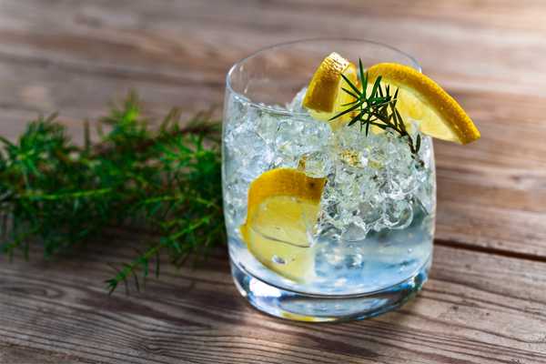 Glass of gin and ice for World Gin Day