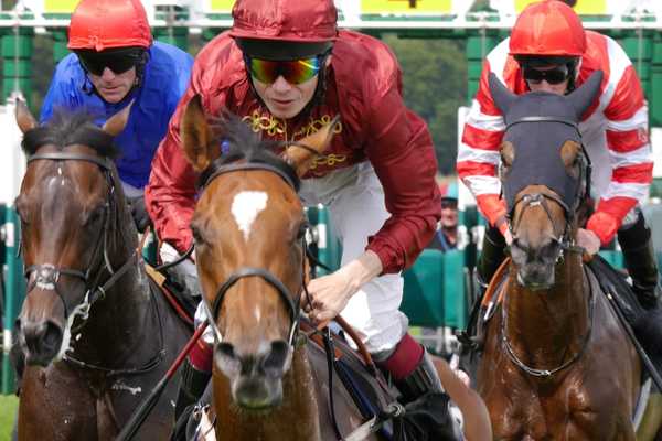 Jockey on a horse for Cheltenham Races