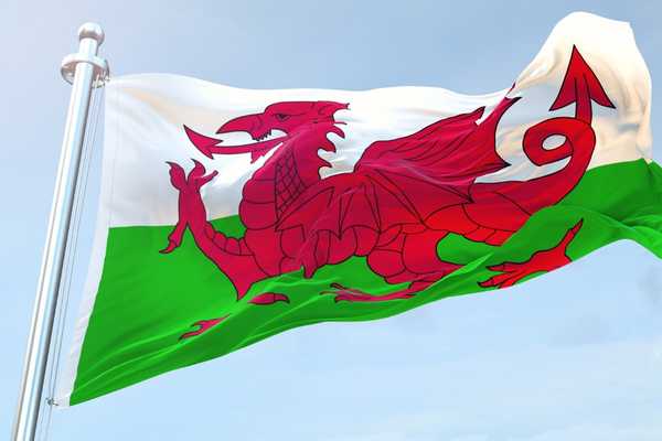 National flag of Wales with red dragon for St David's Day, national day of Wales