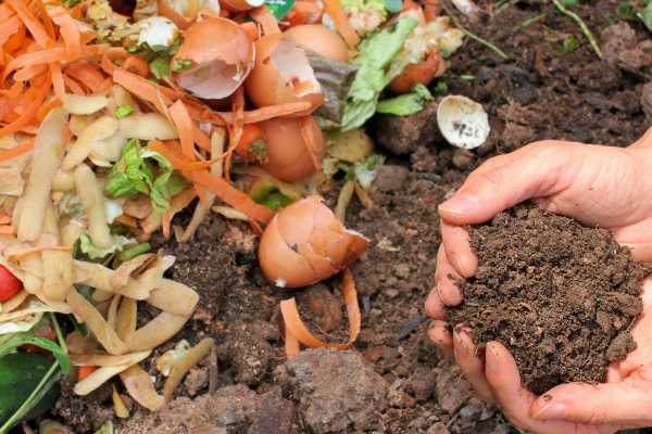 Food scraps with someone holding a handful of compost for International Compost Awareness Week