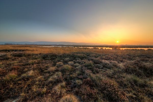 Photo of bogs in the sunset for International Bog Day