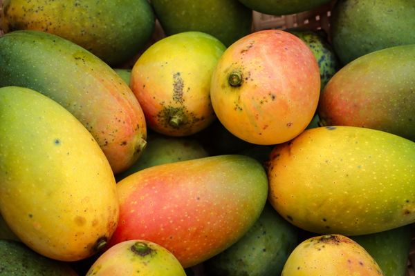 Mangoes for National Mango Day