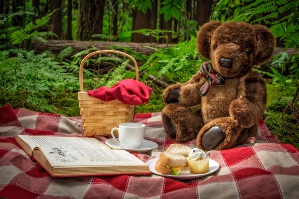 Teddy bear sitting on a picnic blanket for Teddy Bears' Picnic Day