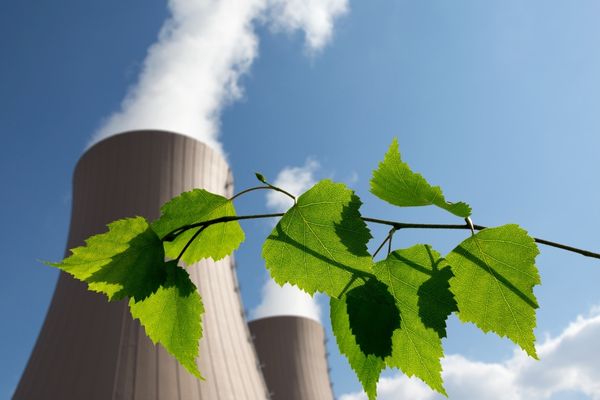 Power plant chimneys with a tree branch in front of it for International Day Against Nuclear Tests