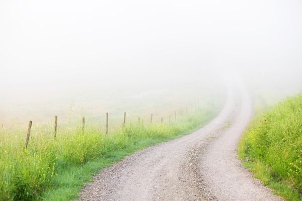 Misty countryside lane for International Day of the Disappeared