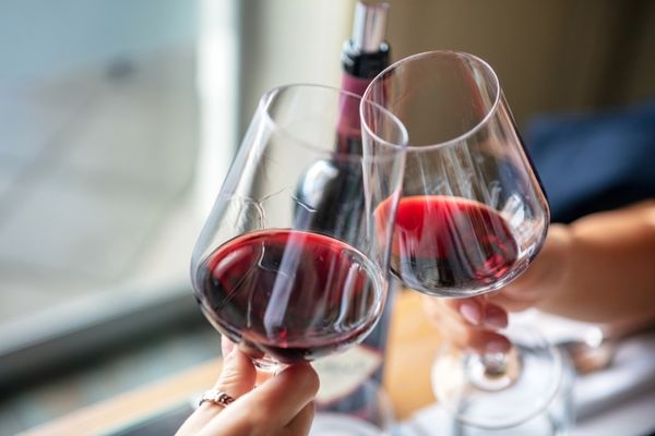 Two people holding a glass of wine and cheersing for National Red Wine Day