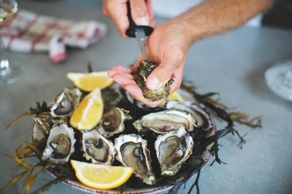 Person opening a pile of oysters with a knife for National Oyster Day
