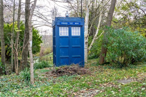 Blue tardis surrounded by trees for Dr Who Day