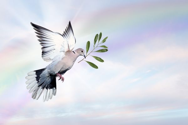 Bird carrying leaf in its mouth against a cloud and rainbow background for International Day of Peace