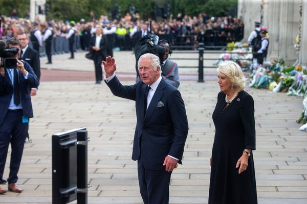 King Charles and Queen Consort Camilla waving to a crowd for King Charles III's birthday