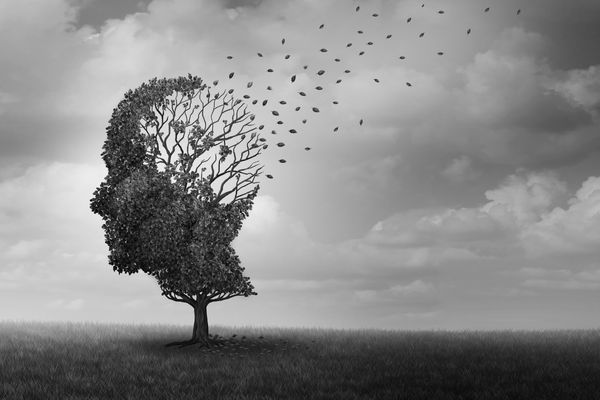 Grey image of a person's head with their brain represented as a tree with leaves coming off for World Alzheimers Month