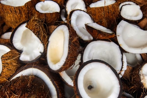 Array of sliced coconuts for World Coconut Day