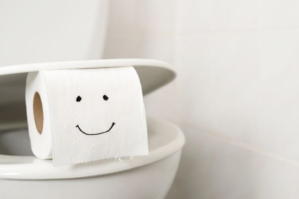 Toilet roll with a smiling drawn on balancing between a toilet seat and lid for World Toilet Day