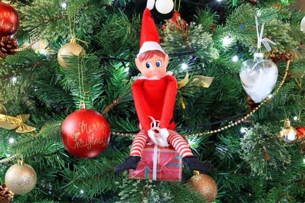 Elf on the shelf sitting inside a Christmas tree for Elf on the Shelf Returns