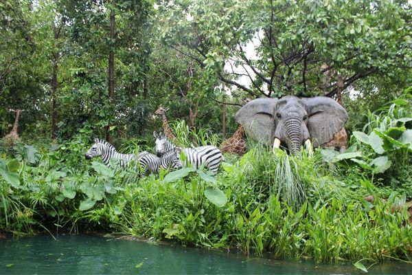 Elephant and two zebras in the wild for International Animal Rights Day