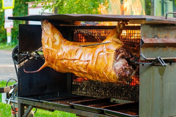 Pig being roasted on a spit for National Roast Suckling Pig Day