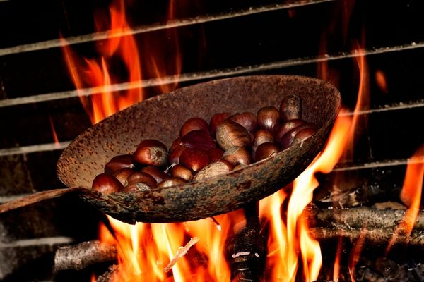 Chestnuts roasting over a fire for Roast Chestnuts Day