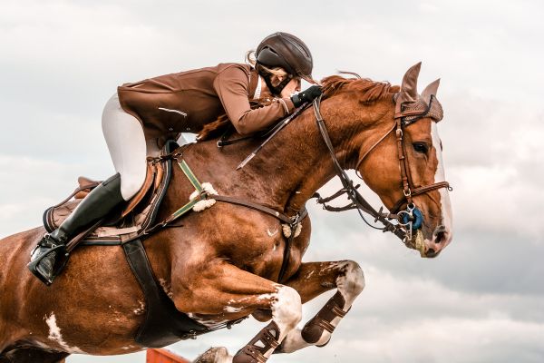 London International Horse Show