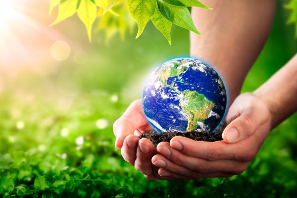 World Sustainability Day