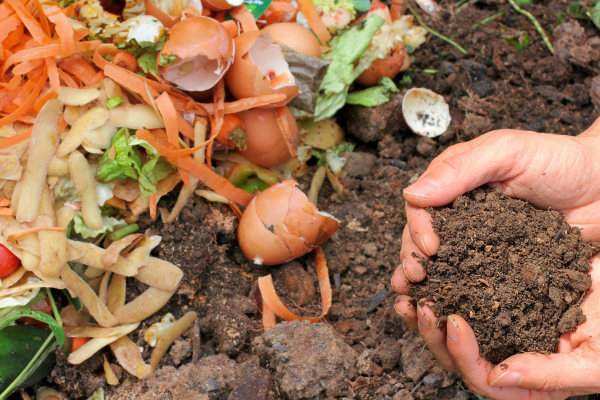 International Zero Waste Day