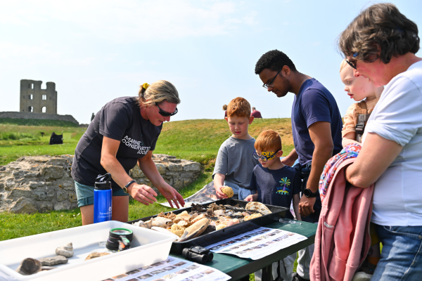 People outside looking at shellfish on a table