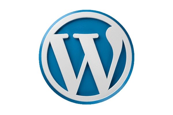 WordPress Logo to celebrate worldpress day