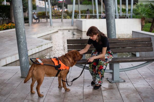 A woman pats her guide dog on International Day of the Blind