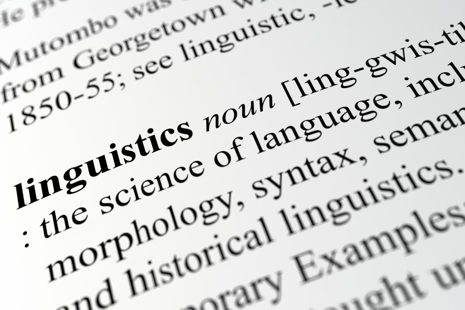 extract from a dictionary with the definition of Linguistics for National Linguistics Day